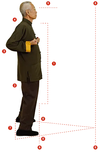 Triangulation of the Siu Nim Tao Form