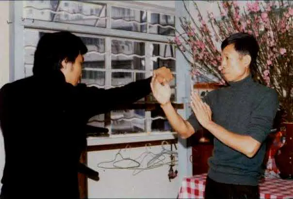 Chi Sau (Sticking Hands) Part 2