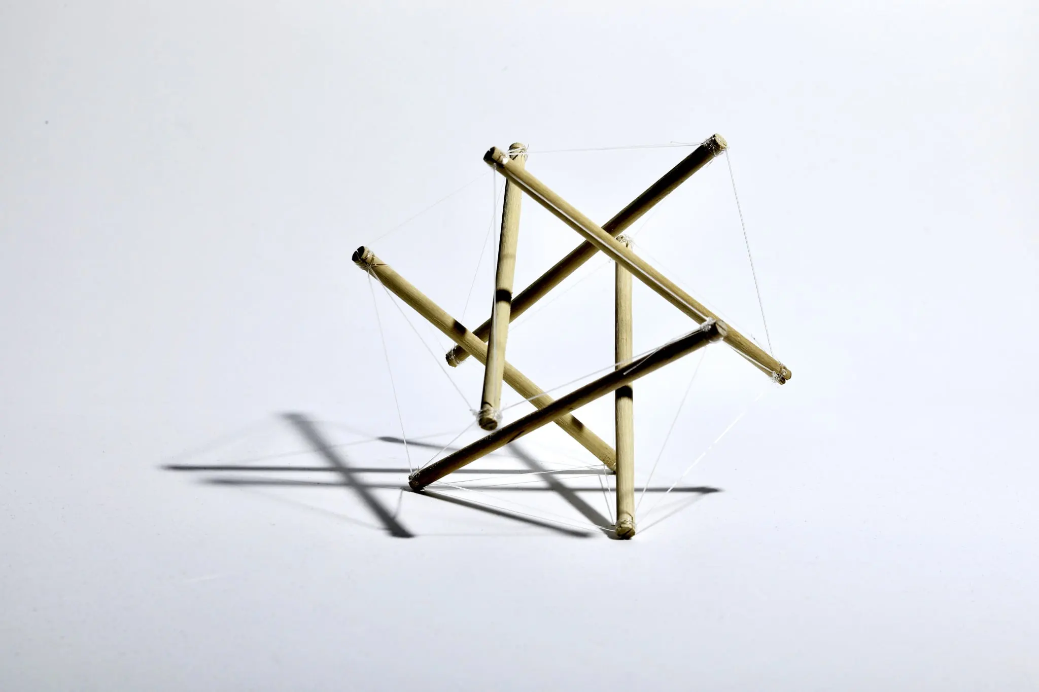 Biotensegrity in Wing Chun Kung Fu