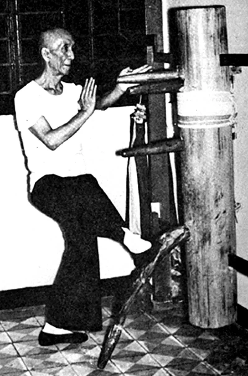 wing chun theory
