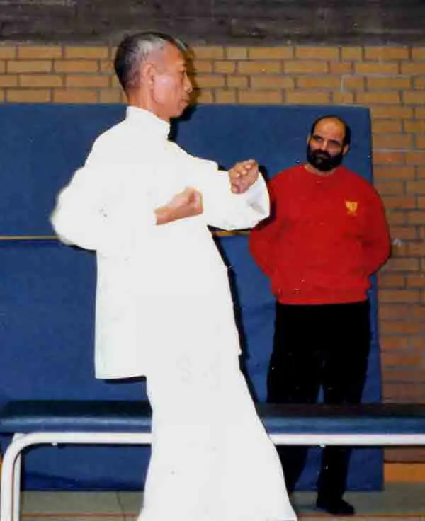 Wing Chun balance and power